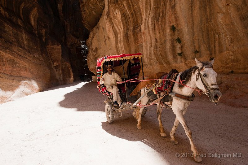 20100412_120429 D3.jpg - Horse and cart in gorge